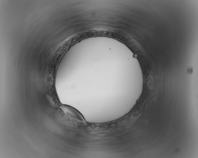 X0000110690821200906261341