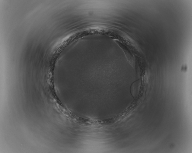 X0000110690822200906261341