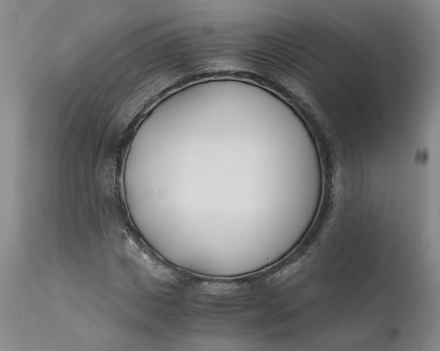 X0000110690825200906261342