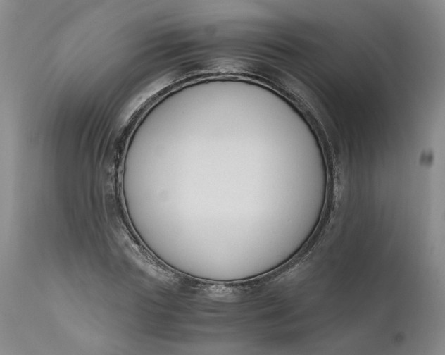 X0000110690827200906261342