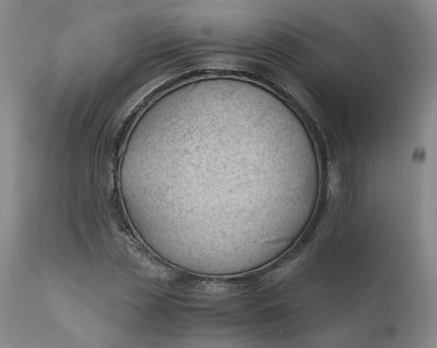 X0000110690829200906261342