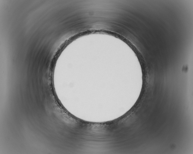 X0000110690832200906261342