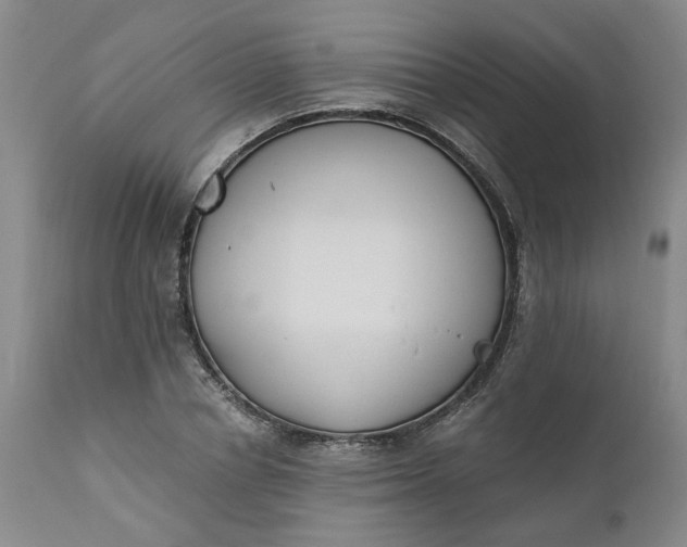 X0000110690834200906261342