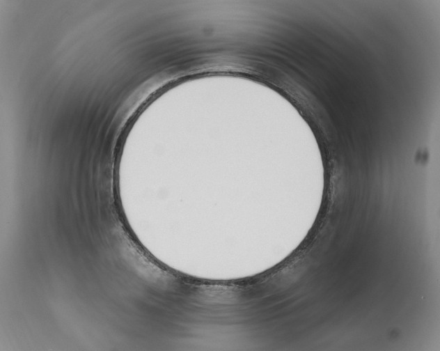 X0000110690836200906261342