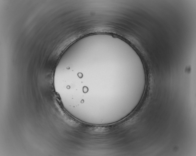 X0000110690841200906261342