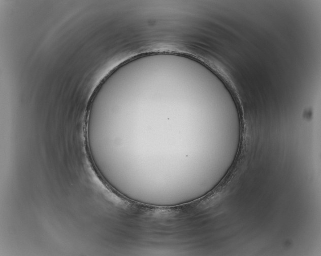 X0000110690847200906261342