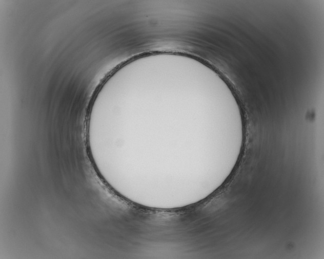 X0000110690848200906261342