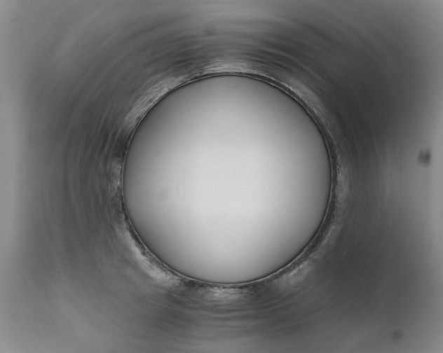 X0000110690849200906261342