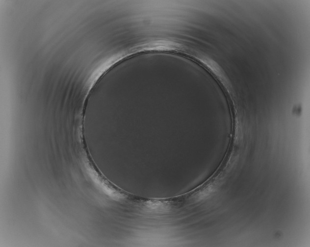 X0000110690850200906261342