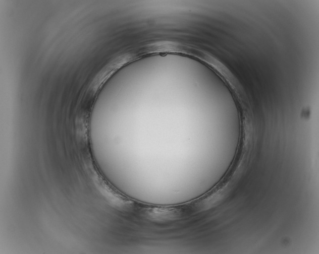 X0000110690857200906261342