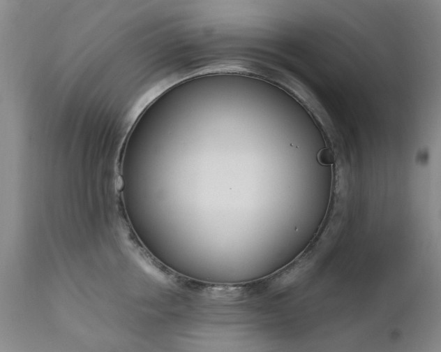 X0000110690858200906261342