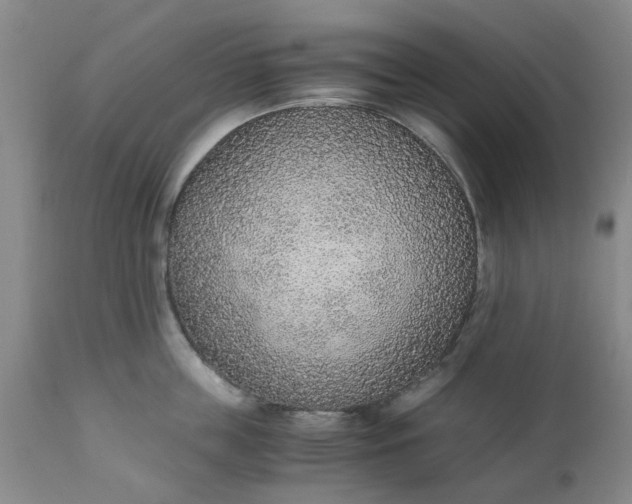 X0000110690859200906261342