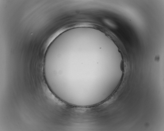 X0000110690860200906261342