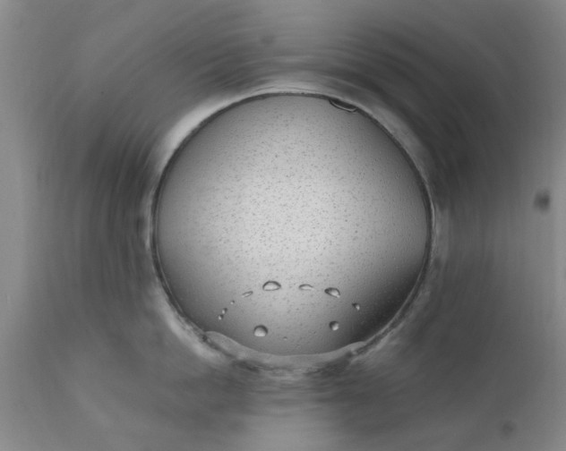 X0000110690862200906261342