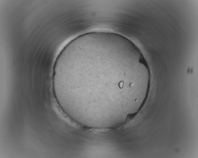 X0000110690864200906261342