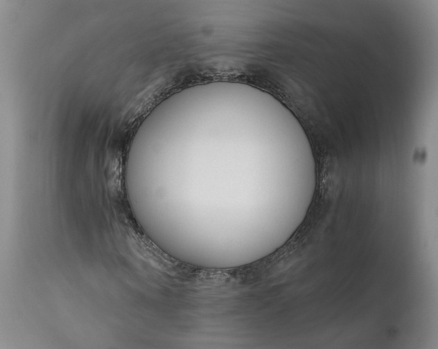 X0000110690866200906261341