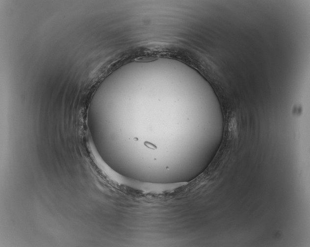 X0000110690868200906261341