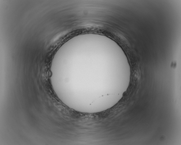 X0000110690869200906261341