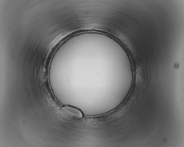 X0000110690876200906261341