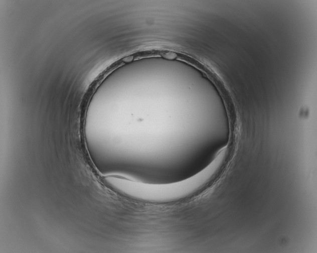 X0000110690877200906261341