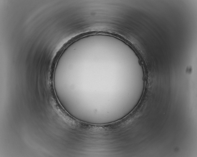 X0000110690880200906261341