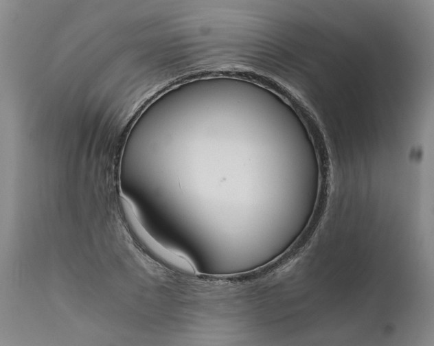 X0000110690881200906261341