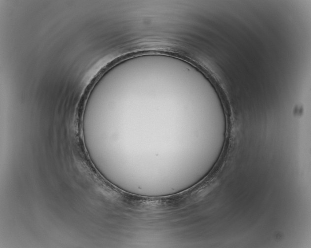 X0000110690883200906261341