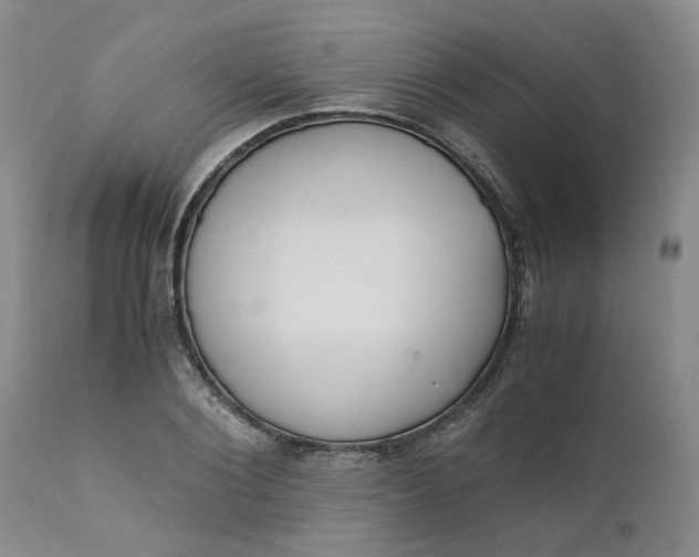 X0000110690884200906261341