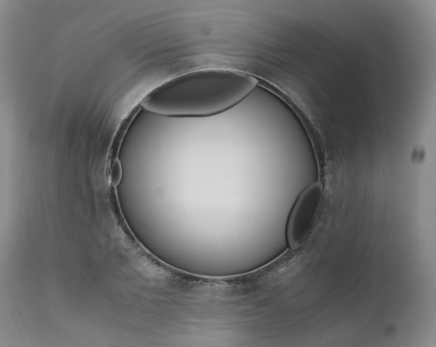 X0000110690885200906261341