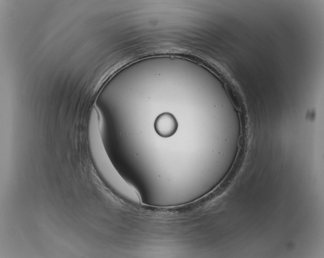 X0000110690889200906261341