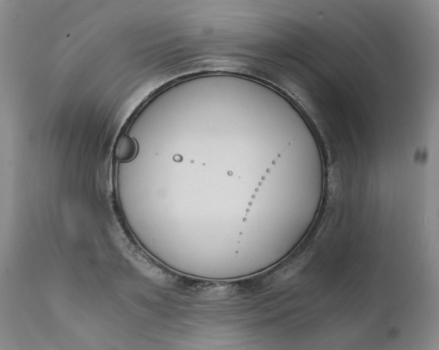 X0000110690891200906261341