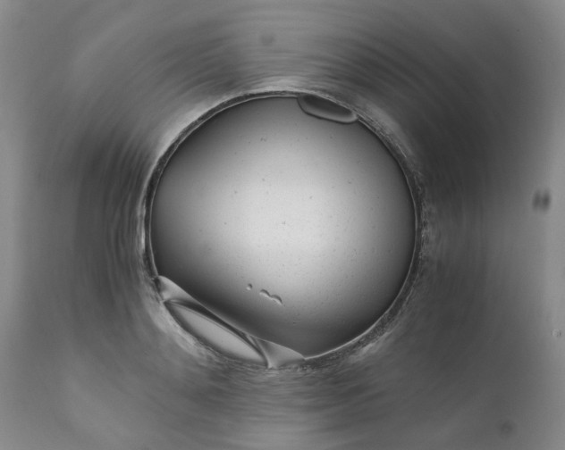 X0000110690892200906261341