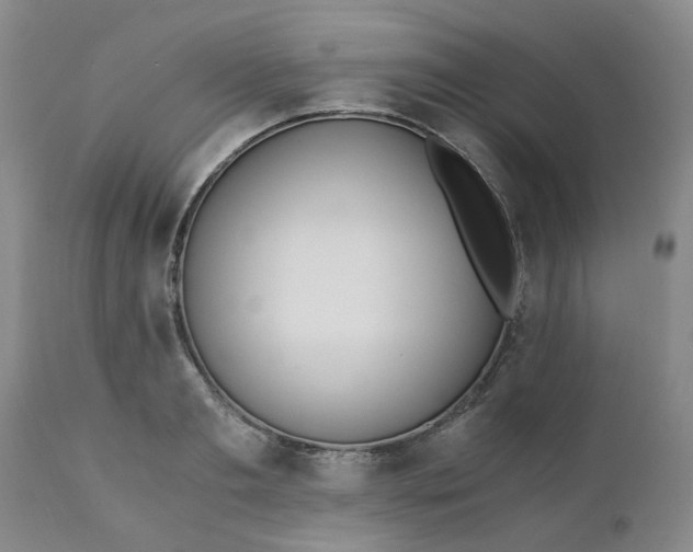 X0000110690893200906261341