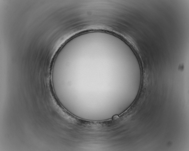 X0000110690895200906261341