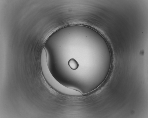 X0000110690897200906261341