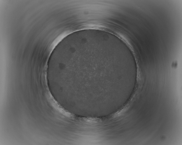 X0000110690899200906261341