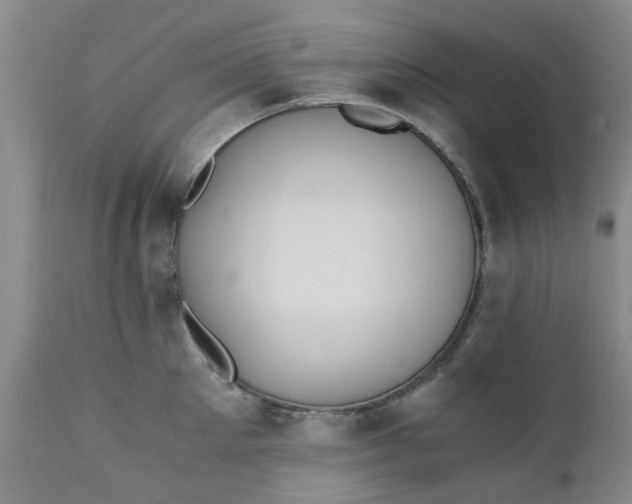 X0000110690905200906261341