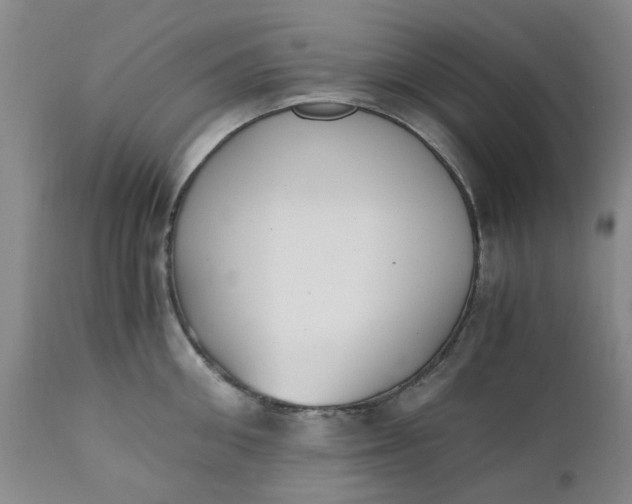 X0000110690906200906261341