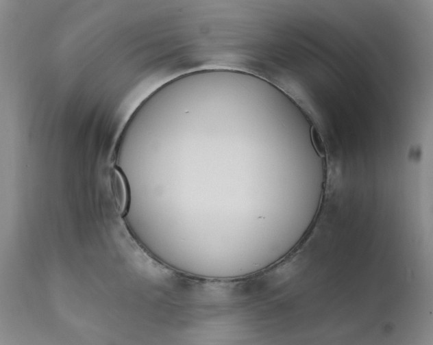 X0000110690908200906261341