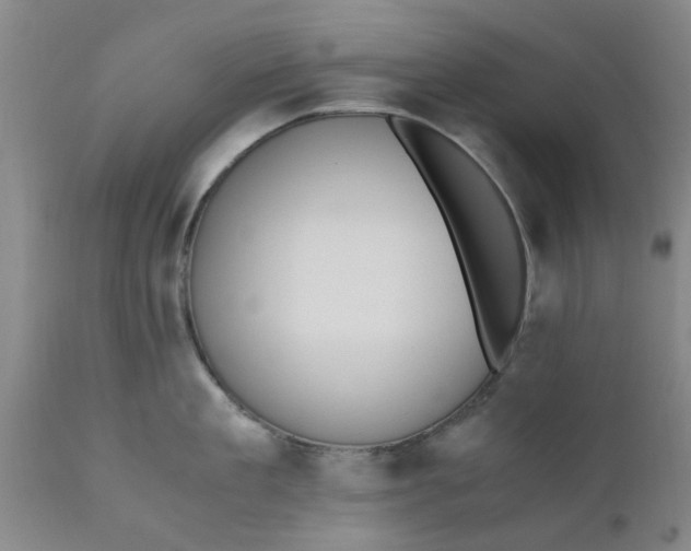 X0000110690909200906261341