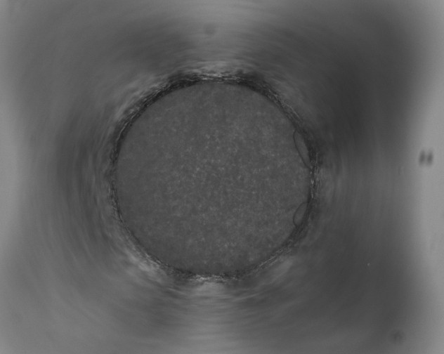 X0000110690913200906261340