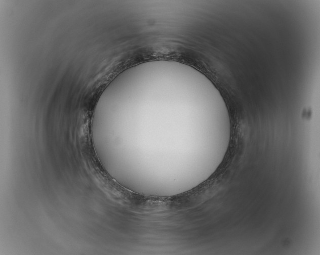 X0000110690914200906261340