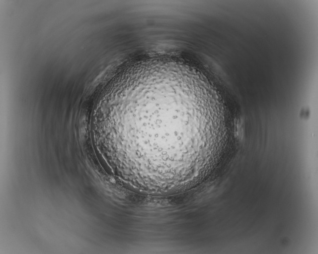 X0000110690915200906261340