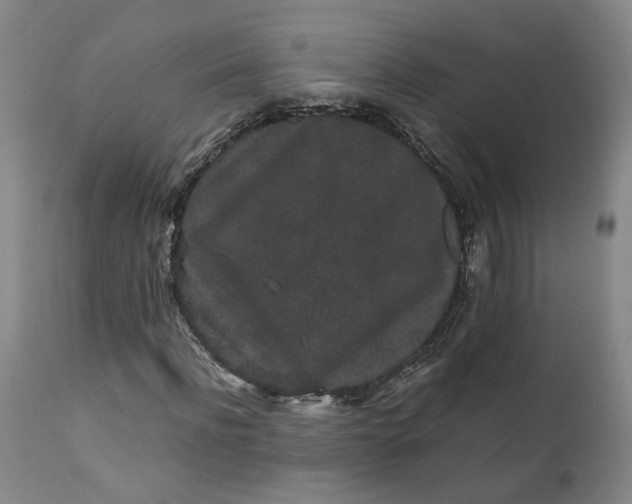 X0000110690916200906261340