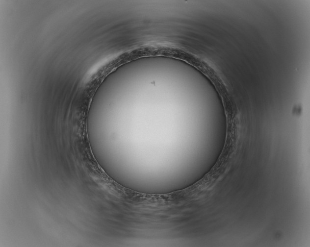 X0000110690919200906261340