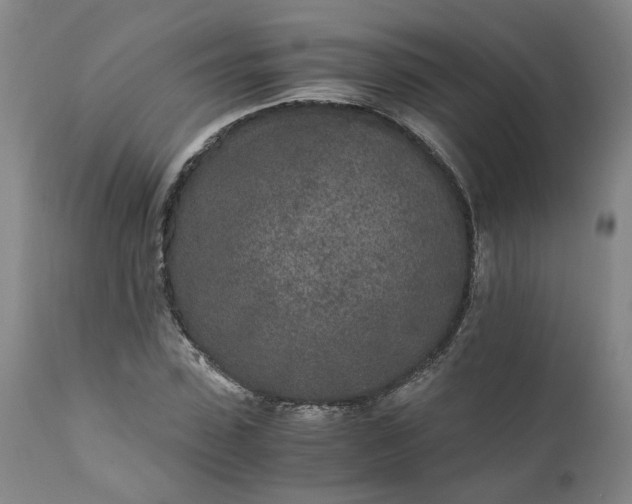 X0000110690923200906261340