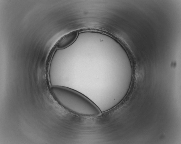 X0000110690924200906261340