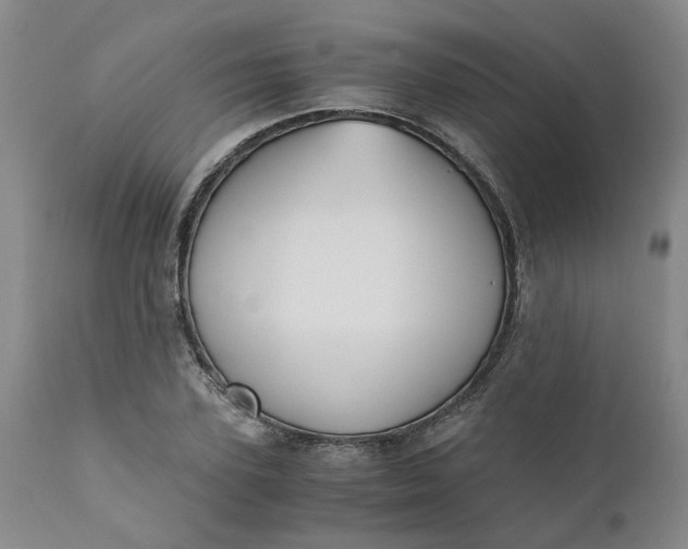 X0000110690931200906261340