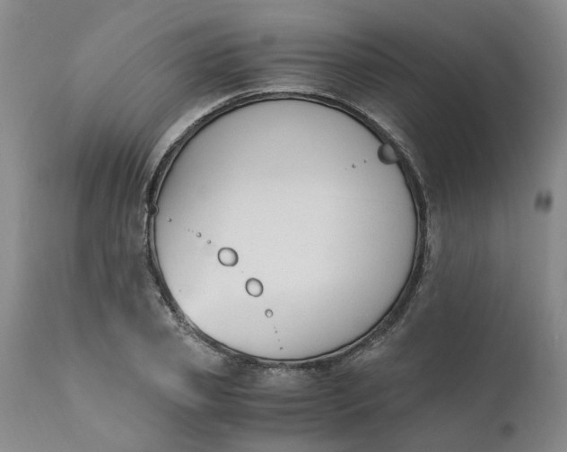 X0000110690933200906261340