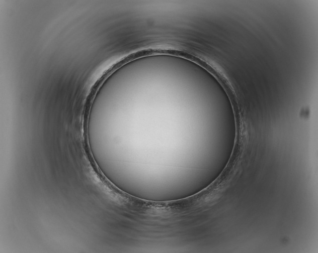 X0000110690935200906261340